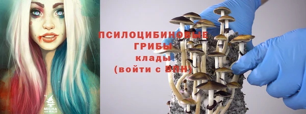 2c-b Вяземский