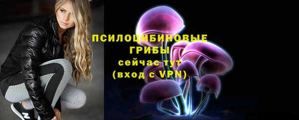 2c-b Вяземский